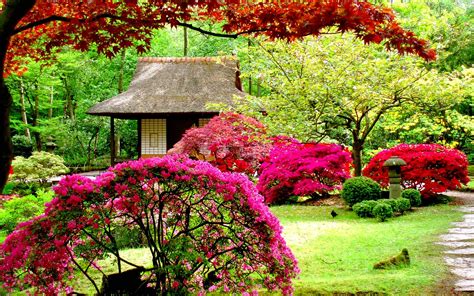 Beautiful Flower Garden Images Wallpaper Download Get Images Four