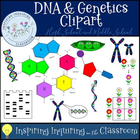 Dna And Genetics Clipart Classful