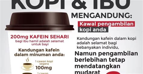 Hutan paya bakau mampu menyerap gelombang besar ombak serta angin kencang seterusnya membolehkan kawasan pesisiran pantai yang dilitupi oleh hutan paya bakau selamat daripada impak bencana. Kesan Buruk Kopi Kepada Kandungan ~ shidarahmat