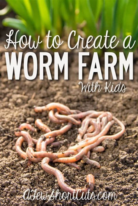 How To Create A Worm Farm With Kids Worm Farm Gardening For Kids