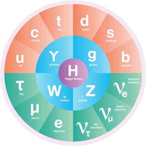 Boson Particle Diagram