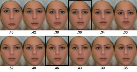 Researchers Discover New Golden Ratios For Female Facial Beauty