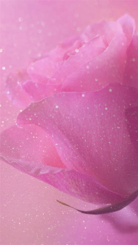 Rose Sparkle Glitter Wallpaper Background Pink