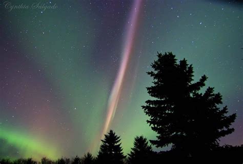 Citizen Scientists And Esa Swarm Discover An Aurora Named Steve