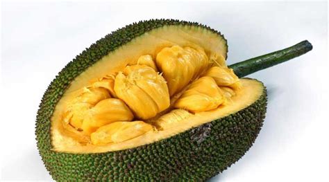 Jackfruit Declared As Keralas Official Fruit India Newsthe Indian