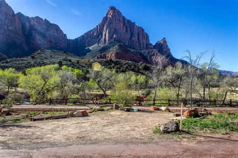 Zion national park has three campgrounds, south, watchman, and lava point. South Campground | Outdoor Project