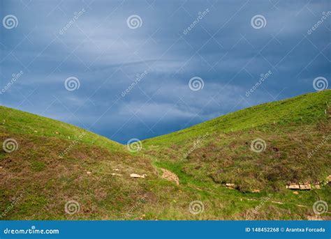 Landscape Of Green Meadows At Sunset With Stormy Blue Sky Stock Photo