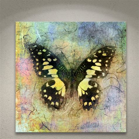 Artwall Butterfly Mixed Media Print By Elena Ray Graphic Art On