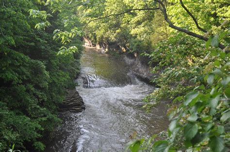 Joyce Secures Kankakee River Improvement Funding In State Budget