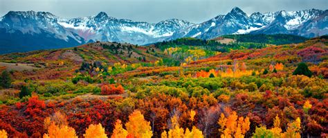 Colorado Fall Colors 2018 2560x1080 Wallpaper