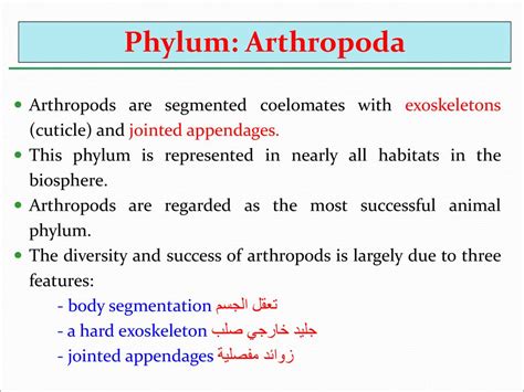 Phylum: Arthropoda Arthropods are segmented coelomates with