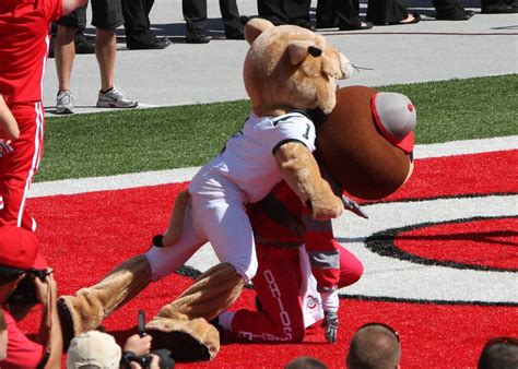 Ohio Apologizes To Ohio State After Mascot Attacks Brutus Buckeye