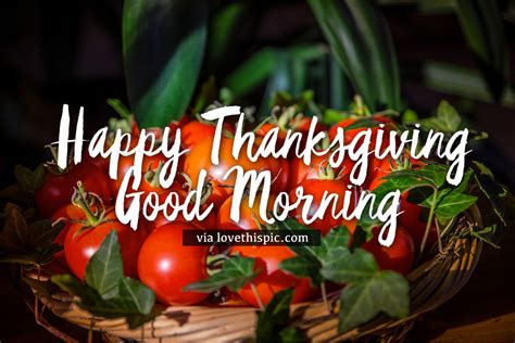 Happy thanksgiving good morning images. Tomato Happy Thanksgiving Good Morning Quotes Pictures ...