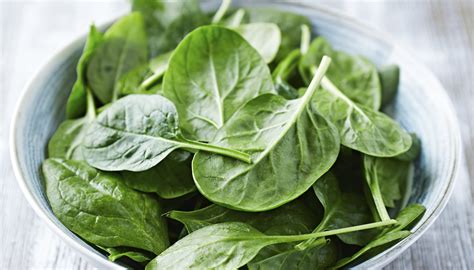 Pernahkah kamu tertanya apakah punca semua wang? Spinach recall: Why it's vulnerable to salmonella, other ...