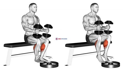 Dumbbell Seated Calf Raise Home Gym Review
