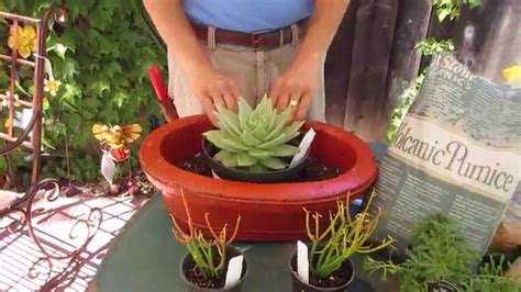 How To Plant A Succulent Container Youtube