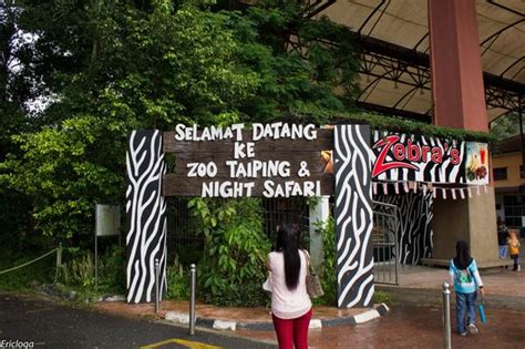 Entrance fee is rm12 for adults, rm8 for children. Zoo entrance - Picture of Zoo Taiping & Night Safari ...