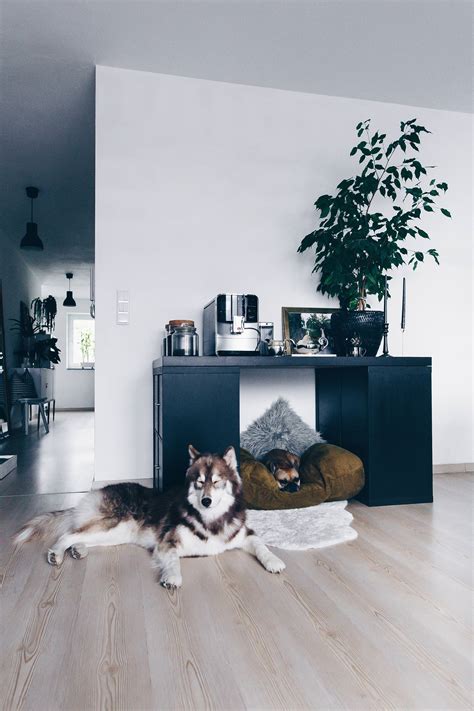 In several categories you can find extra resistant tents for demanding. DIY: Hundehütte für die Wohnung selber bauen (inklusive ...
