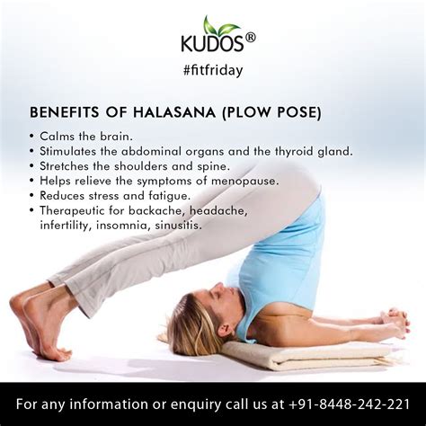 Halasana Plow Pose Easy Yoga Workouts Yoga Facts Wellness Yoga