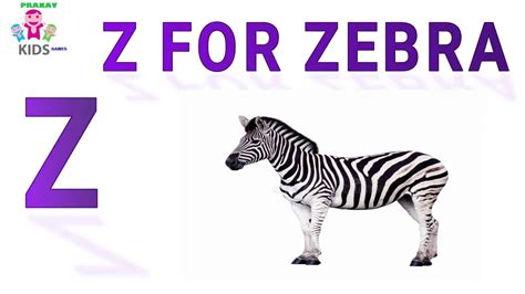 Z For Zebra Z For Zoo Z For Zipper Z For Zigzag Z For Zero