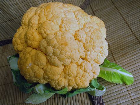 Ricette con Cavolfiore bianco