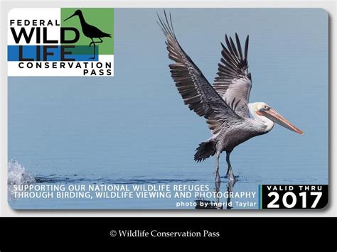 Support A Wildlife Conservation Pass Ppt Download