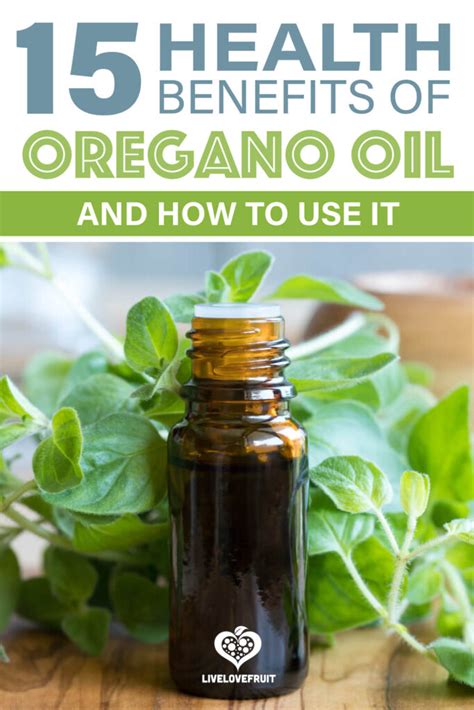 15 Health Benefits Of Oregano Oil And How To Use It Live Love Fruit