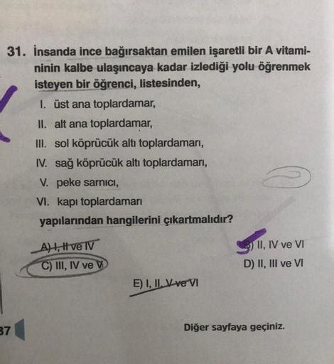 31. İnsanda ince bağırsaktan emilen işaretli bir A - Biyoloji