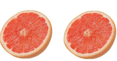 Grapefruit translated between english and spanish including synonyms, definitions, and related words. Grapefruit meaning in hindi, Spanish, tamil, telugu ...