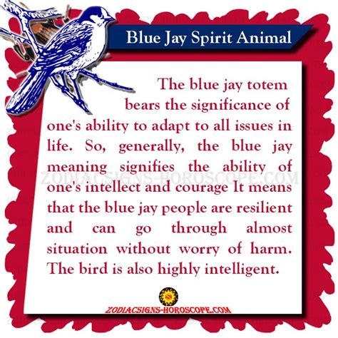 Blue Jay Spirit Animal Totem Meaning Symbolism And Dream Zsh