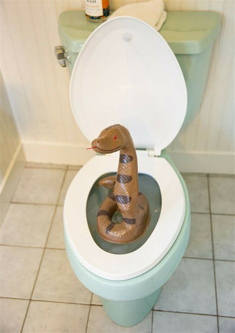 Snake Toilet Bowl Monster Hisss Terically Funny Bathroom Scary Gag Prank Joke EBay