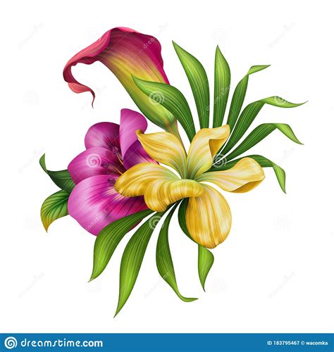 Digital Botanical Illustration Beautiful Tropical Flowers Bouquet