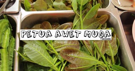 Anda juga boleh meminum air rebusan pucuk gajus tersebut untuk kelihatan awet muda. Petua Awet Muda- gajus FI - Diari Wanita