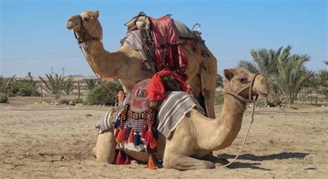 Oct.20,1973 ) ok, this.was the fm version that. 15 Things To Do In Swakopmund On A Budget | AFKTravel