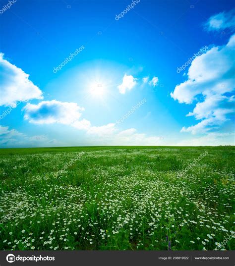 Green Meadow Blue Sky Clouds Beautiful Nature Sunset Landscape — Stock