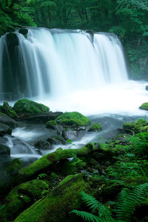 A Heavy Flow Waterfalls Streaming Through Mossy Rocks · Free Stock Photo