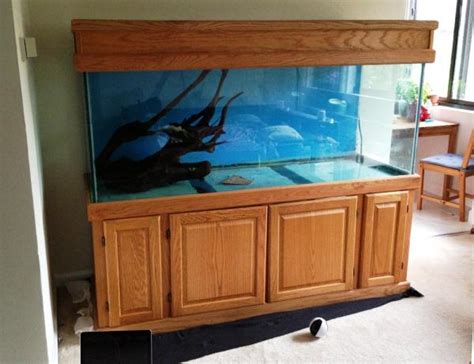 20 Gallon Aquarium 220 Figure 6 The Tank Sitting On The Stand With