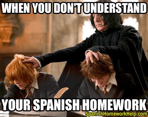 Memes Spanish Homework Help