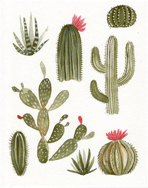 The Best Free Cactus Watercolor Images Download From 448 Free