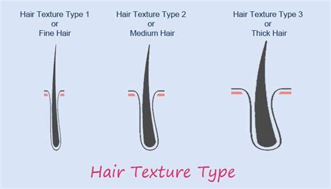Human Hair Texture Overview Texture Of Hair Hair Structure Definition