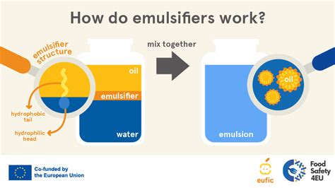 What Are Emulsifiers And What Are Common Examples Used In Food Eufic