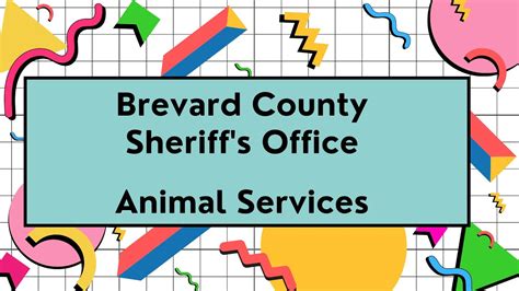 Tails And Tales With Brevard County Libraries And Brevard County