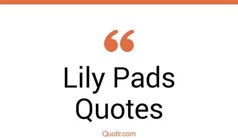 7 Cheering Lily Pads Quotes That Will Unlock Your True Potential