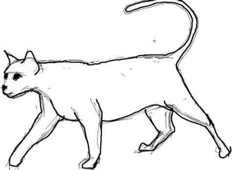 Logiciel de chat simple avec arduino uno. Dessin de chat - Animozone.fr