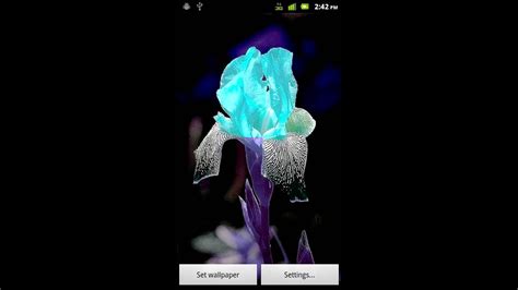 Color Changing Flower Live Wallpaper Android Market Youtube