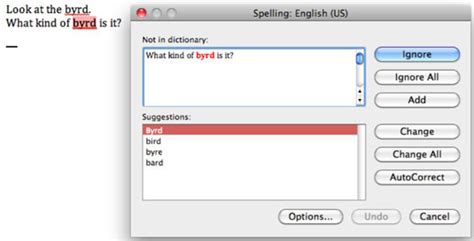 Correct your grammar, spelling, punctuation. Check Spelling And Grammar In Office For Mac