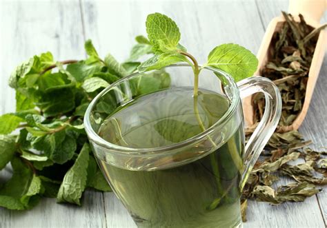 Dieta do chá das ervas detona quilos em mês Benefícios do chá