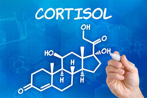 6 Best Supplements To Lower Cortisol Levels And Stress Naturally Brainflow