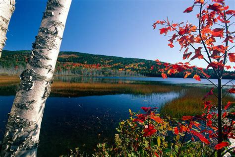 Pond With Autumn Colors Acadia National Park Maine