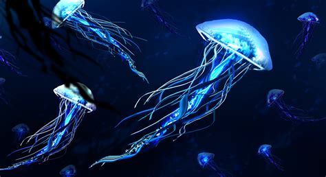 Underwater Photography Of Blue Jellyfishes Hd Wallpaper Wallpaper Flare